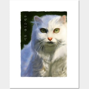 Persian Cat - White Posters and Art